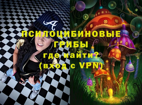 гидра Вязники