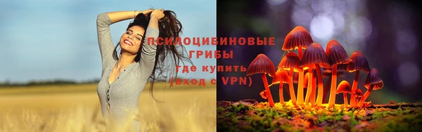 ALPHA PVP Вяземский