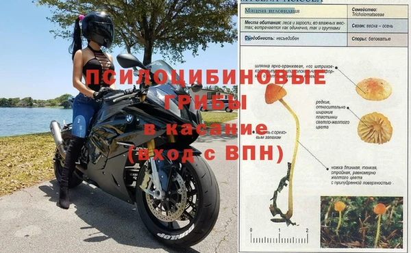 ALPHA PVP Вяземский