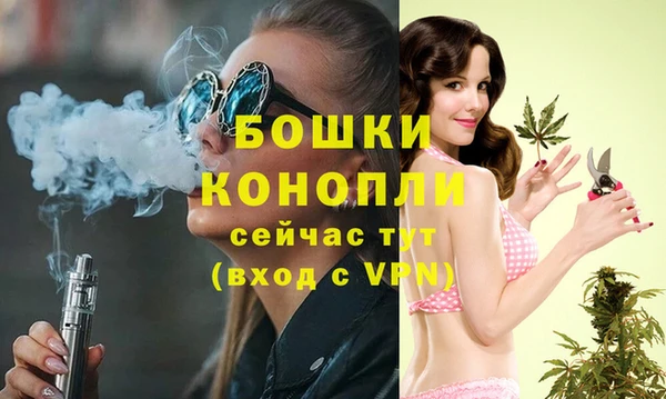 ALPHA PVP Вяземский