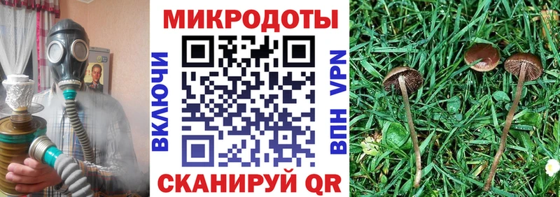 Галлюциногенные грибы мицелий  Купить где  Североуральск 